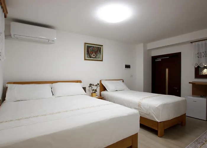 Guest house Cani 4*